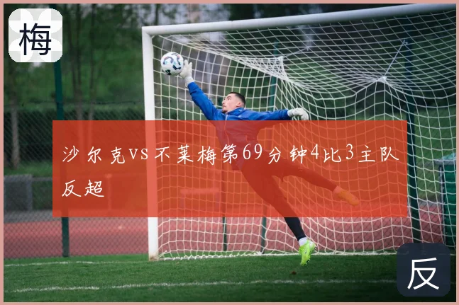 沙尔克vs不莱梅第69分钟4比3主队反超